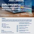 Diplomado en Business Intelligence (BI) como Estrategia de Negocios